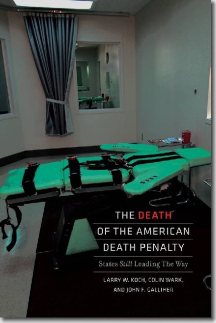 The Death of the American Death Penalty, Paperback Book