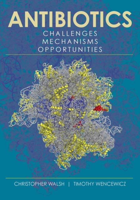 Antibiotics : Challenges, Mechanisms, Opportunities, PDF eBook