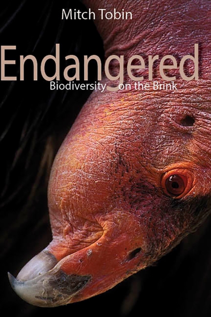 Endangered, EPUB eBook