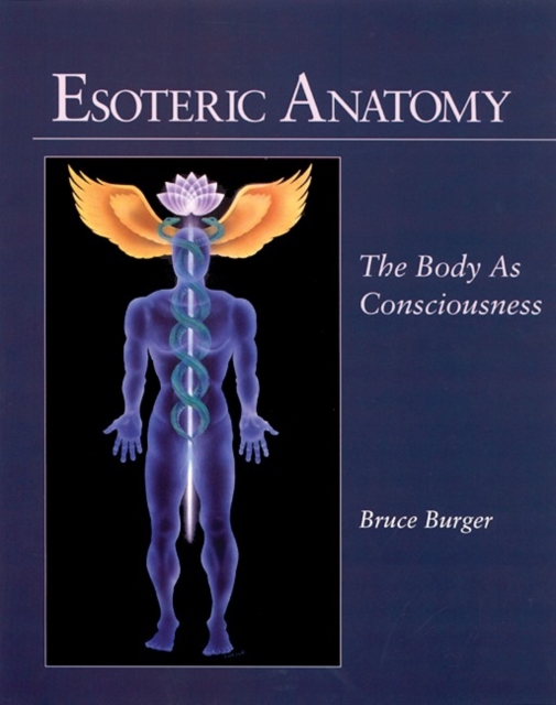 Esoteric Anatomy : The Body as Consciousness, Paperback / softback Book