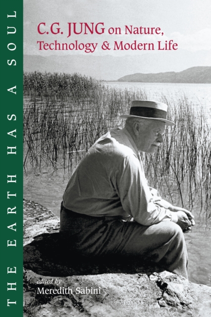 The Earth Has a Soul : C.G. Jung on Nature, Technology and Modern Life, Paperback / softback Book