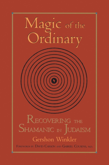 Magic of the Ordinary : Recovering the Shamanic in Judaism, Paperback / softback Book