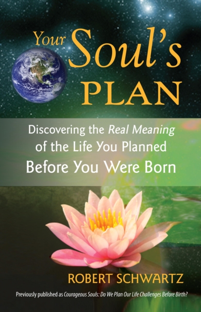 Your Soul's Plan, EPUB eBook