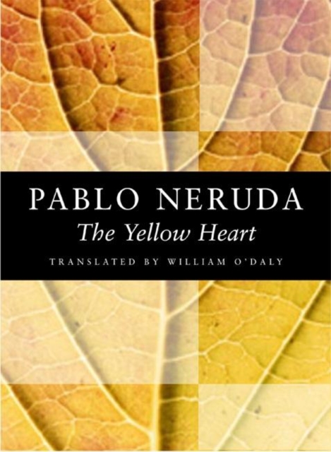 The Yellow Heart, Paperback / softback Book