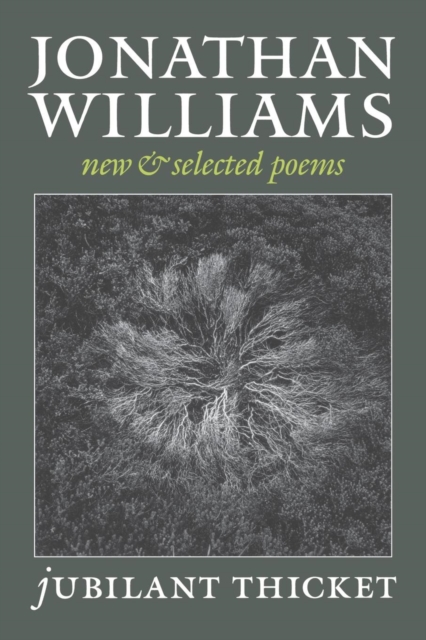Jubilant Thicket : New and Selected Poems, Paperback / softback Book