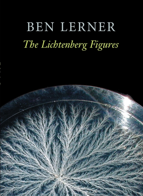 The Lichtenberg Figures, Paperback / softback Book