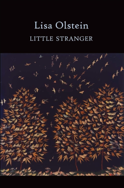 Little Stranger, Paperback / softback Book