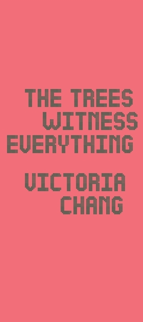 The Trees Witness Everything, Paperback / softback Book