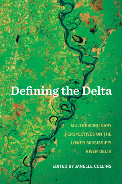 Defining the Delta : Multidisciplinary Perspectives on the Lower Mississippi River Delta, Paperback / softback Book