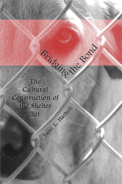 Bridging the Bond : The Cultural Construction of the Shelter Pet, Paperback / softback Book
