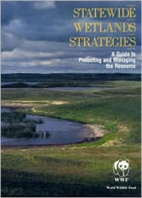 Statewide Wetlands Strategies, Paperback / softback Book