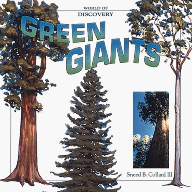 Green Giants : 12 of the Earth's Tallest Trees, Hardback Book