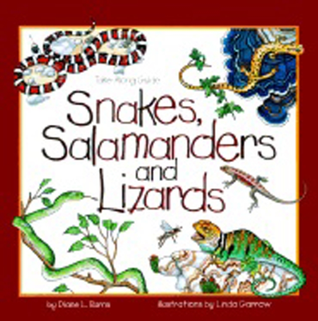 Snakes, Salamanders & Lizards, Paperback / softback Book