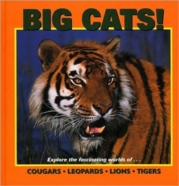 Big Cats : Exploring the Fascinating World of Tigers, Lions, Cougars and Leopards, Hardback Book