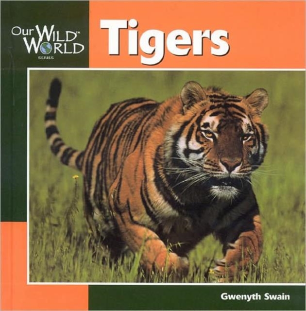 Tigers, Hardback Book