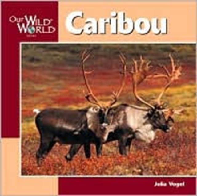 Caribou, Paperback / softback Book