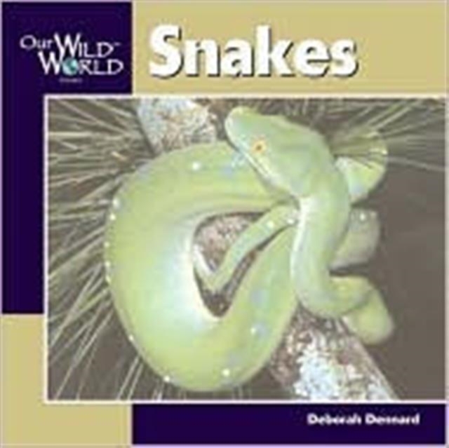 Snakes, Paperback / softback Book