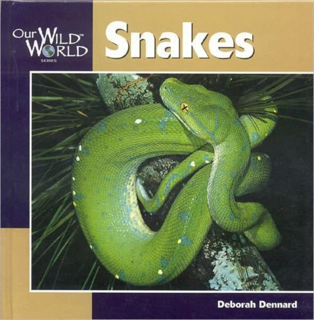 Snakes, Hardback Book