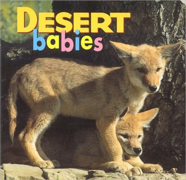 Desert Babies, Board book Book