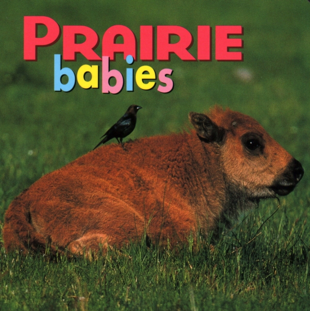 Prairie Babies, Board book Book