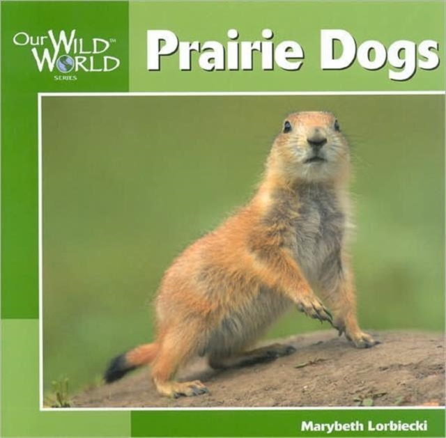 Prairie Dogs, Paperback / softback Book