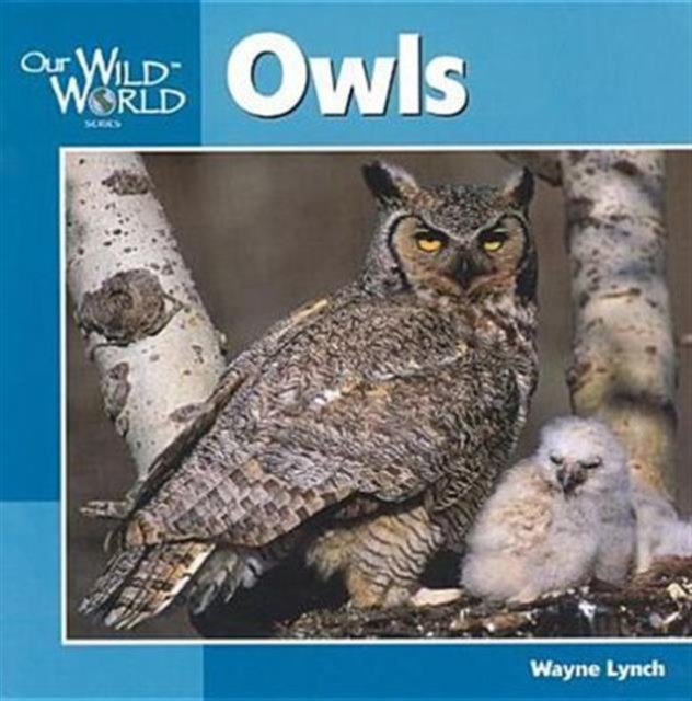 Owls, Paperback / softback Book