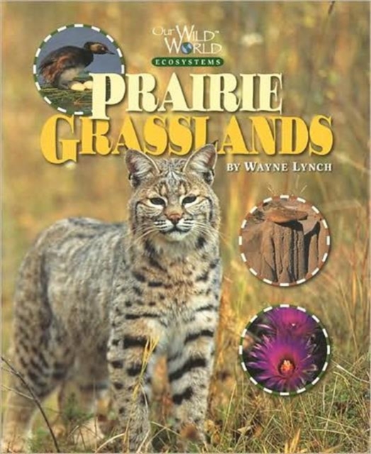 Prairie Grasslands, Paperback / softback Book