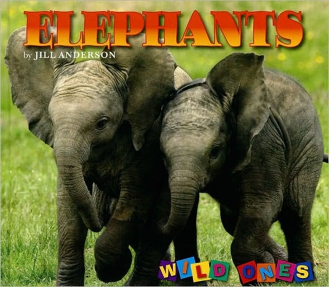 Elephants, Hardback Book