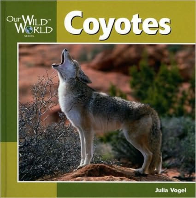 Coyotes, Hardback Book