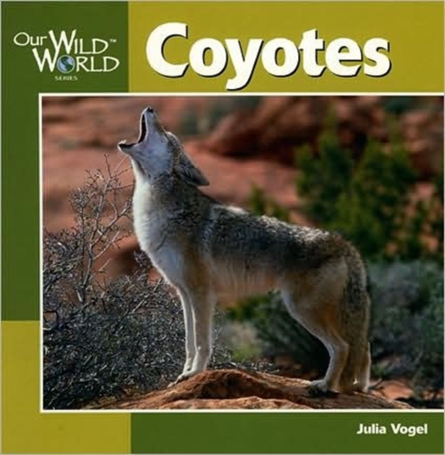 Coyotes, Paperback / softback Book