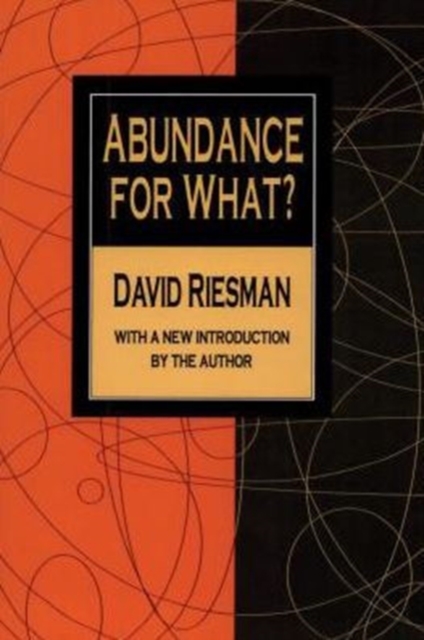 Abundance for What?, Paperback / softback Book