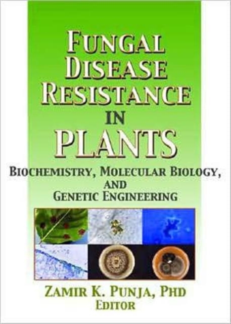 Fungal Disease Resistance in Plants : Biochemistry, Molecular Biology, and Genetic Engineering, Hardback Book