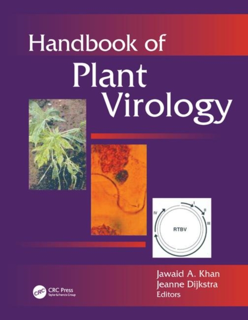 Handbook of Plant Virology, Paperback / softback Book