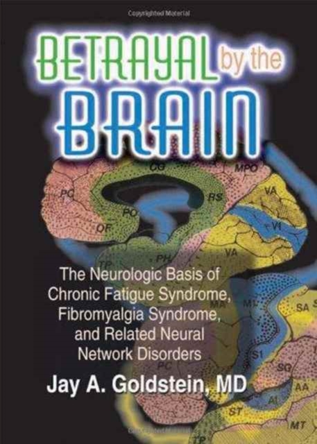 Betrayal by the Brain : The Neurologic Basis of Chronic Fatigue Syndrome, Fibromyalgia Syndrome, and Related Neural Network, Hardback Book