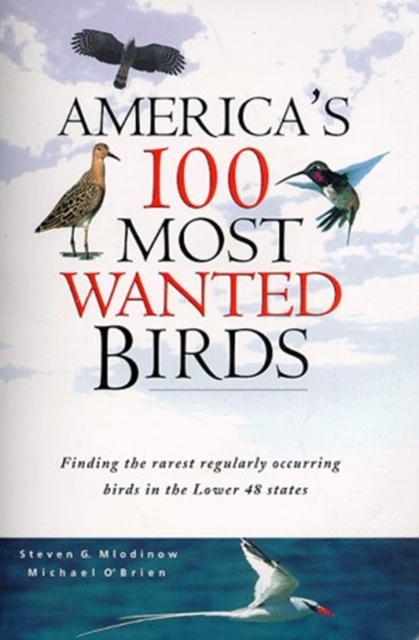 America's 100 Most Wanted Birds, Paperback / softback Book