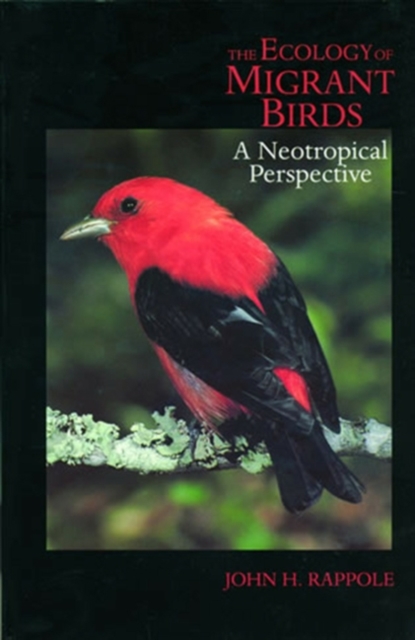 The Ecology of Migrant Birds : A Neotropical Perspective, Paperback / softback Book