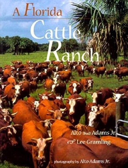 A Florida Cattle Ranch, Paperback / softback Book