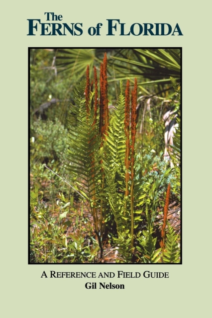 The Ferns of Florida : A Reference and Field Guide, Paperback / softback Book