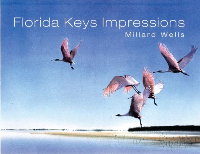 Florida Keys Impressions, Paperback / softback Book