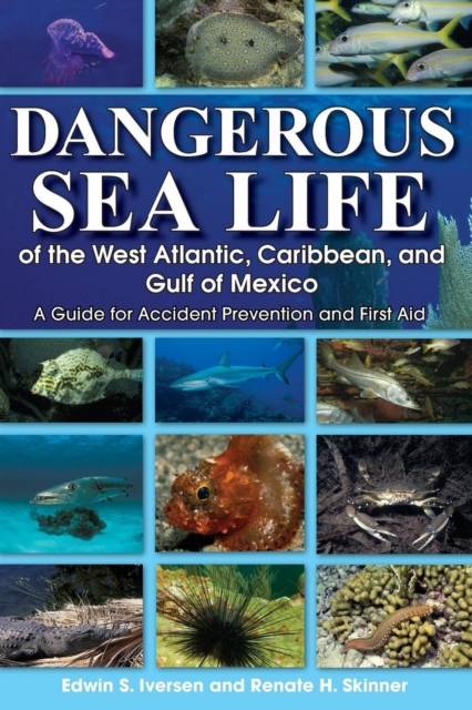 Dangerous Sea Life of the West Atlantic, Caribbean, and Gulf of Mexico : A Guide for Accident Prevention and First Aid, Paperback / softback Book