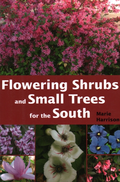 Flowering Shrubs and Small Trees for the South, Paperback / softback Book