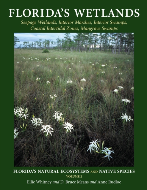 Florida's Wetlands, Paperback / softback Book