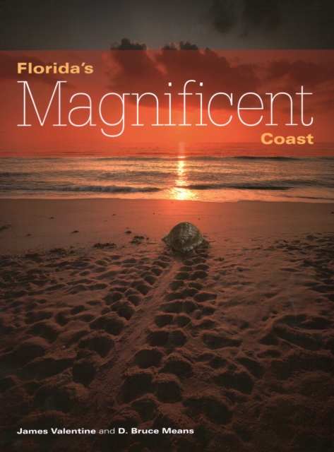 Florida's Magnificent Coast, Paperback / softback Book
