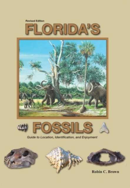 Florida's Fossils, EPUB eBook