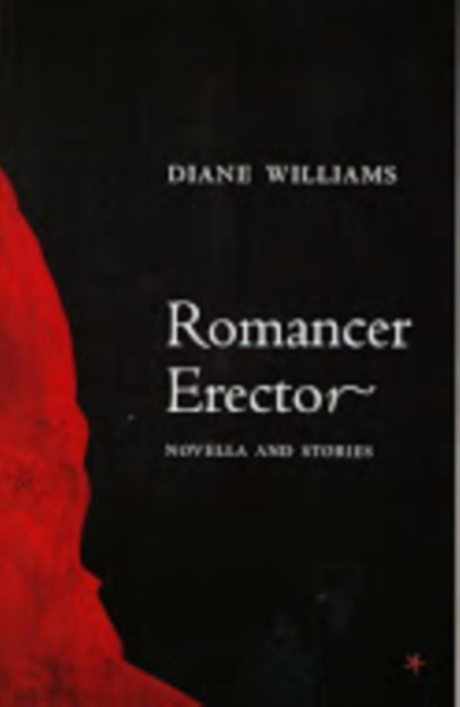 Romancer Erector, Paperback / softback Book