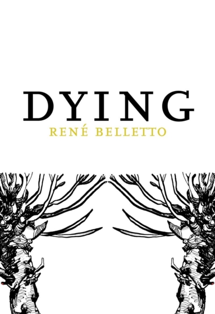 Dying, Paperback / softback Book