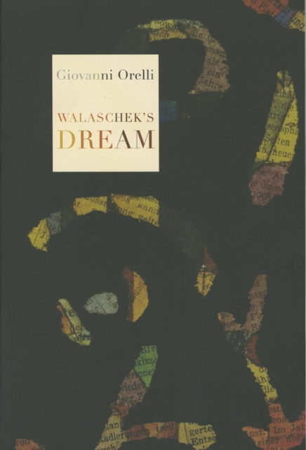 Walaschek's Dream, Paperback / softback Book