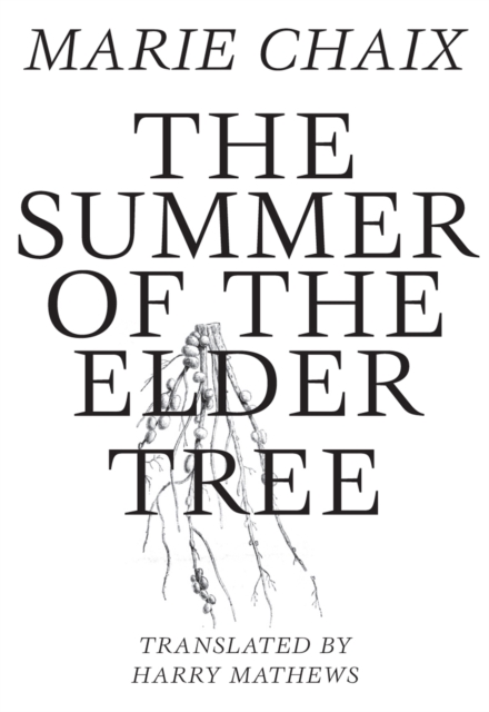 Summer of the Elder Tree, Paperback / softback Book