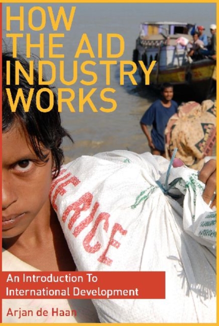 How the Aid Industry Works : An Introduction to International Development, Paperback / softback Book