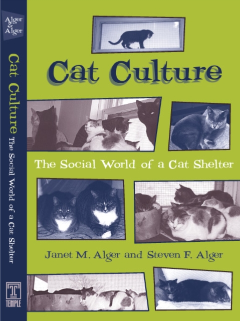 Cat Culture : The Social World Of A Cat Shelter, Paperback / softback Book